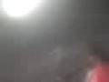 videos de vamos bulla