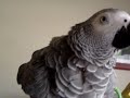 Maxi.....What Cha\ Maxi.....What Cha\