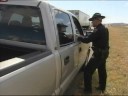DPS goes after speeders DPS goes after speeders