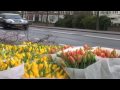 STRICT LIABILITY - Drive carefully