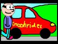 Max Torrt: Knoohrides