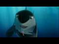  - MovieZen Video