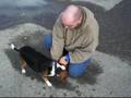 Trucker Bosley (the dog) {Eskimo Sean}