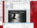 Adobe Flash-4 Make Text Readable