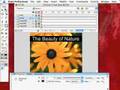 Adobe Flash-4 Make Text Readable