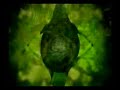 Faithless Paranoid Eclectic Method Remix