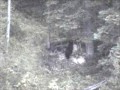 Wild Idaho Outfitters Success vs Opportunity