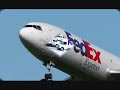 fede