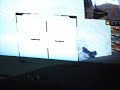 Lucky Fox vs Evolution