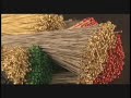 D'Addario Strings - How It's Made