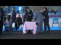 videos de ACADSE EXP.INT.JEREZ 2008-1.avi