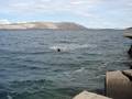 videos de Gasper in Adriatic sea !