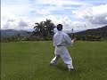 Hangetsu / Revolutionary style