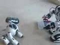 Robosapien vs. Aibo Dog Robot - ROBORAMA.info