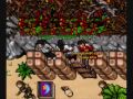 Tibia frost dragons and giant spider