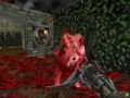 ZDOOM : LSC with ZBLOOD