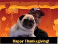 Happy Thanksgiving!