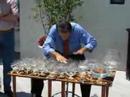 Glass Harp 5