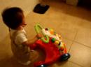 milo and his walker milo and his walker