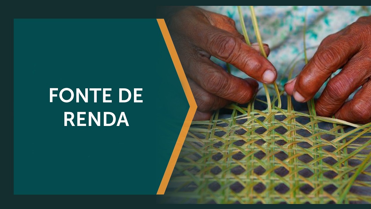 Artesanato transforma vidas no campo