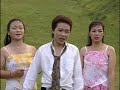 现打斑鸠现钳毛
