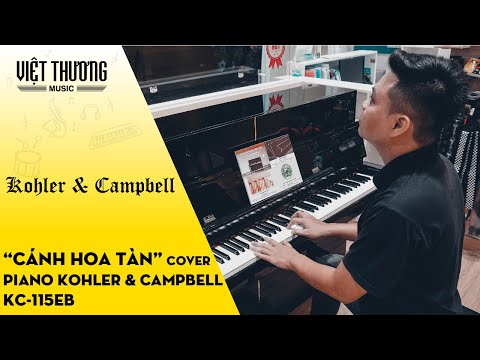 Demo Piano Kohler & Campbell KC115EB với ca khúc Cánh Hoa Tàn