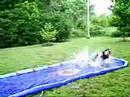 funny water slide