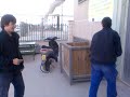 paluzie 2 (estampazo)