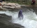 Reno RiverFest 2008