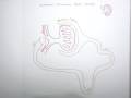 Glomerular Filtration Rate (Part 1: Why Control is So Neccessary)