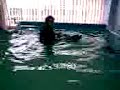 Four Paws Aqua Dog Hydrotherapy Pool - Lucy (part one) Four Paws Aqua Dog Hydrotherapy Pool - Lucy (part one)