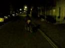 Wheating rides off into the night