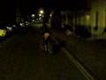 Wheating rides off into the night