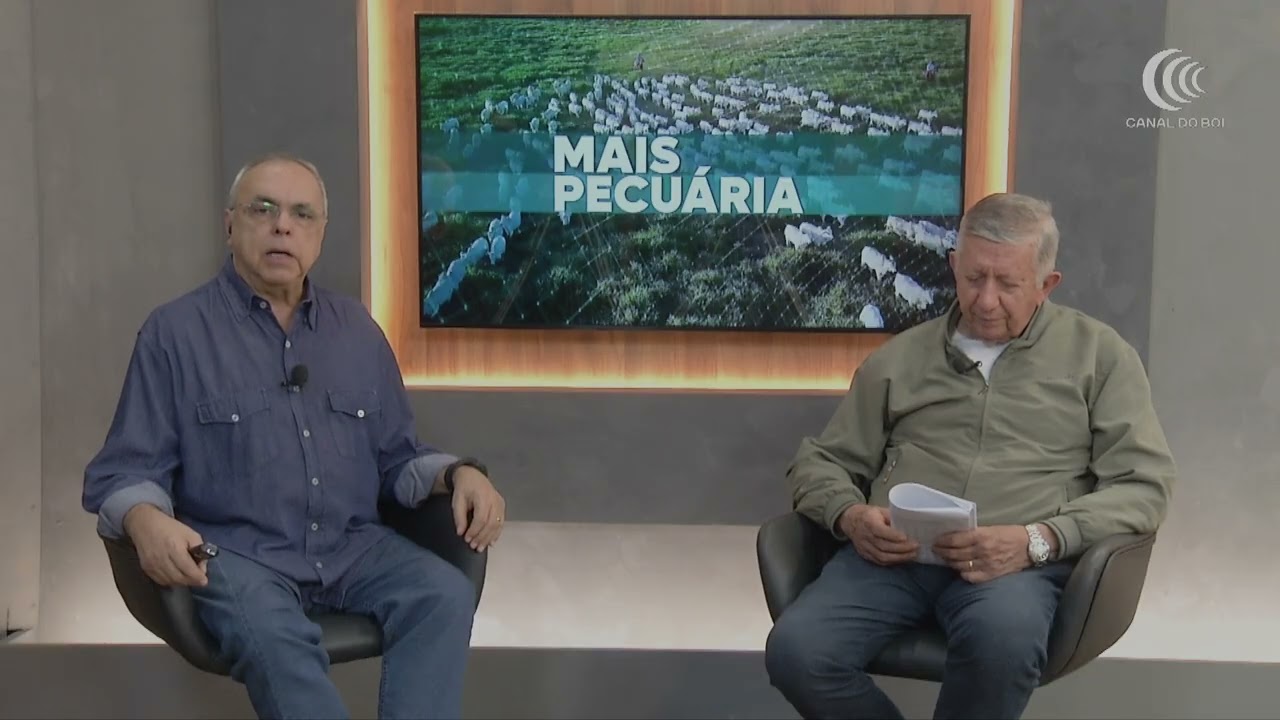 Média diária de carne bovina exportada em junho/26 é maior que junho/25