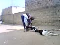 fallou fallou
