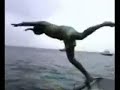 dive ischia