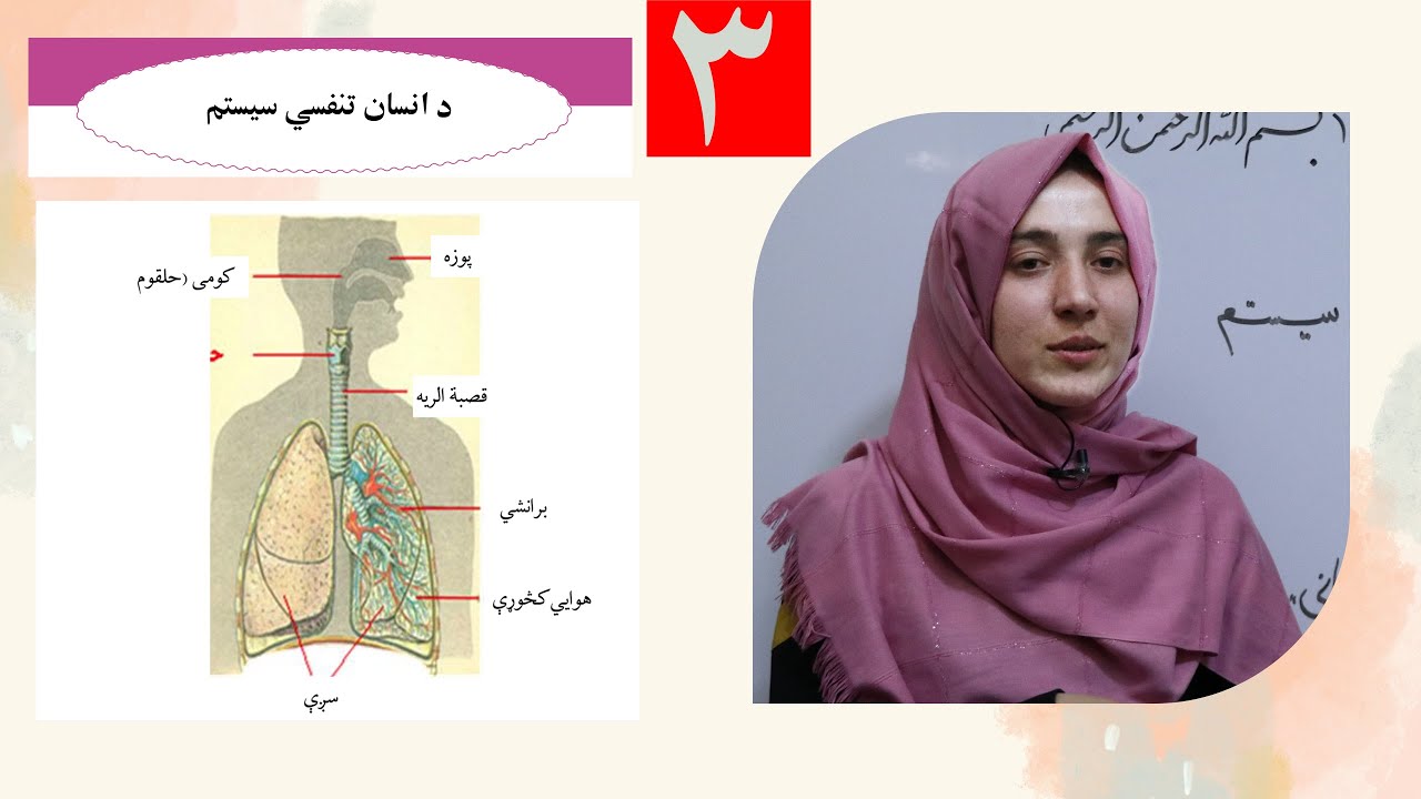 Class 6 - Science | Human respiratory system - Lesson 3 | د انسان د وینې د دوراند انسان تنفسی سیستم