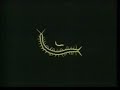 Scanning Of Modulations: Condition #4 Scanning Of Modulations: Condition #4