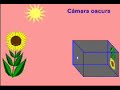 Camara estenopeica