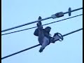 DV-65-6 MAY 26 1998 VANCOUVER DRUNK MALE ON TOP OF CRANE DV-65-6 MAY 26 1998 VANCOUVER DRUNK MALE ON TOP OF CRANE