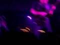 videos de Charmer - Kings of Leon