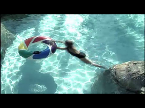 how to train your dragon live wichita ks