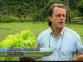 Agricultura Orgânica de Alto Valor Nutritivo