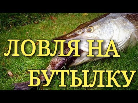как ловить сома на бутылку видео как ловить сома на бутылку видео