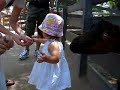 Feeding the goats