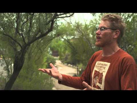 how to harvest water in the desert