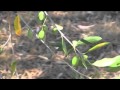 Cooking School - The Great Escape Plan - YouTube