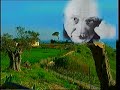Benvenuti ad Agrigento - Welcome to Agrigento.wmv