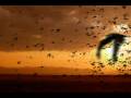 After-Effects-and-Tr