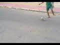 W.h foot.mp4 W.h foot.mp4